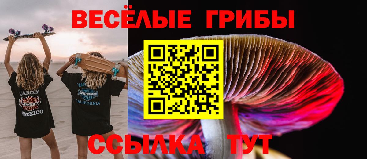 Псилоцибиновые грибы Psilocybe  Псилоцибиновые грибы Psilocybine cubensis  Юрга  Вход с VPN 