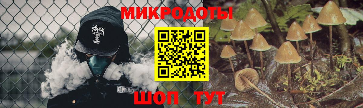 Галлюциногенные грибы Psilocybine cubensis Юрга